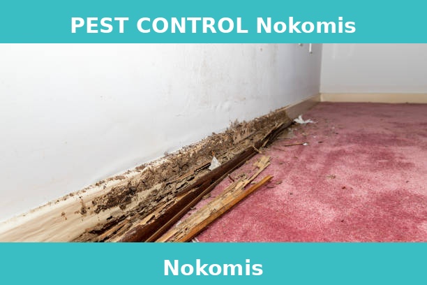 PEST CONTROL Nokomis